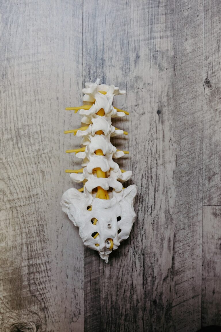 Photo by Quilia on Unsplash